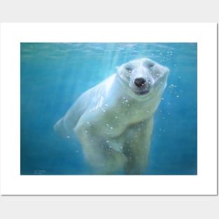 Polar Bear Posters and Art